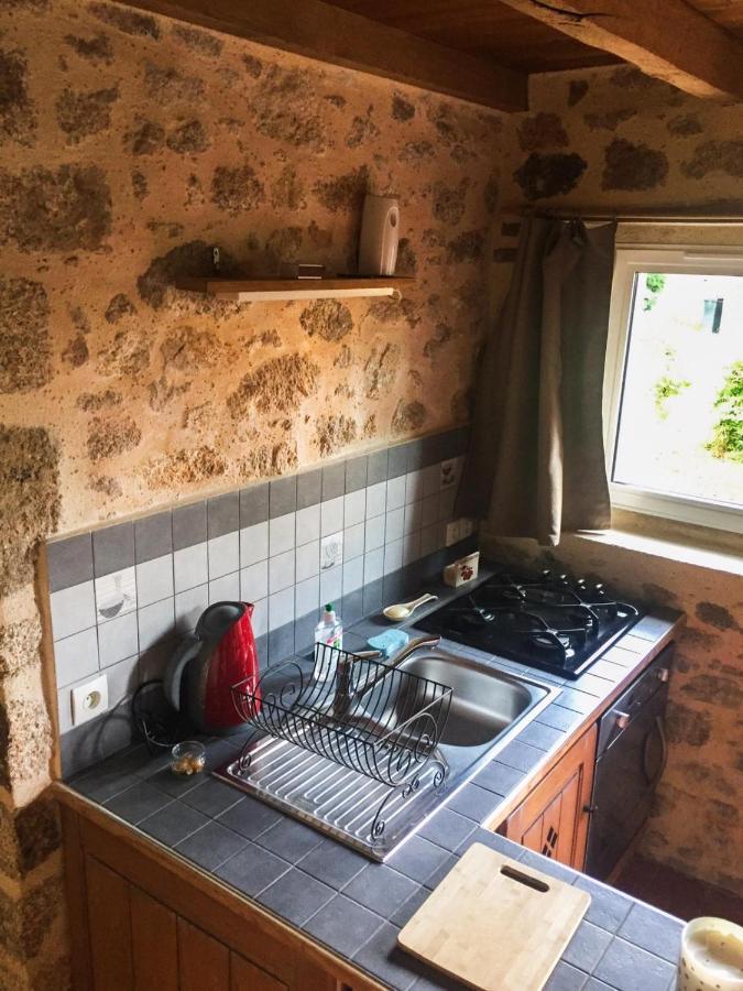 Demeure Du Castel Bed & Breakfast Les Chatelliers-Chateaumur Exterior photo