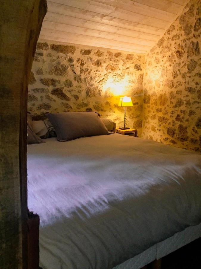 Demeure Du Castel Bed & Breakfast Les Chatelliers-Chateaumur Exterior photo